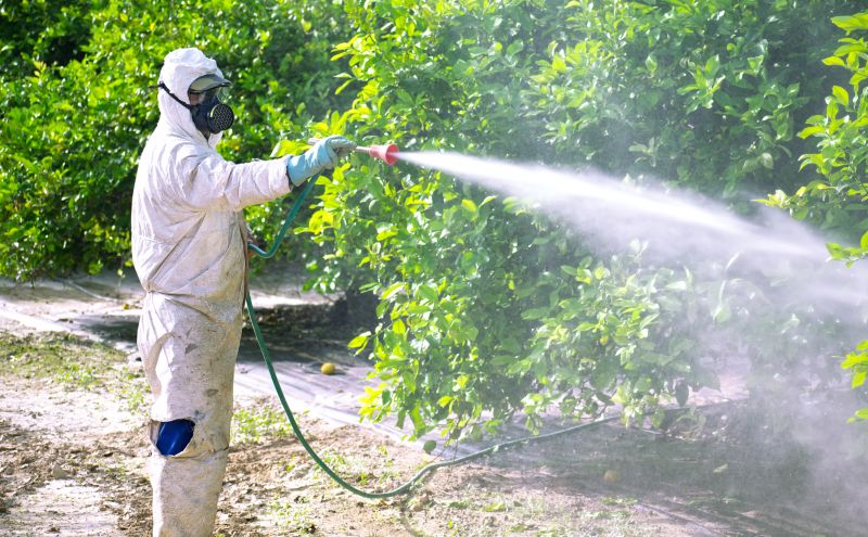 Fumigation Service in Franklin, TN