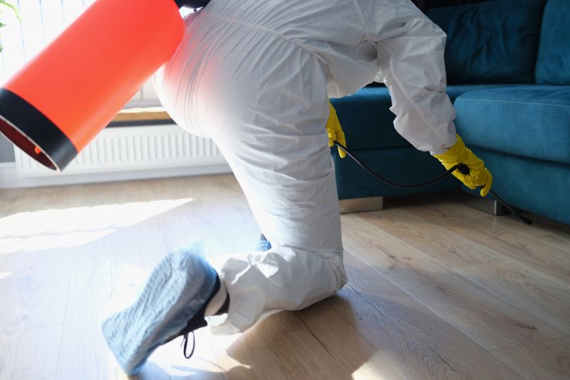 Rat Fumigation Service in Myrtle Beach, SC