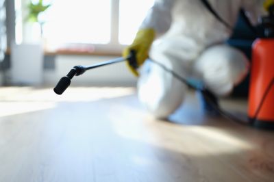 Pest Fumigation Service in Clarksville, TN