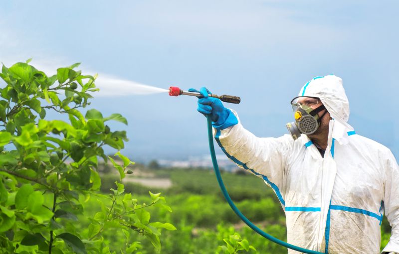 Pest Fumigation Service in Gwinnett County, GA
