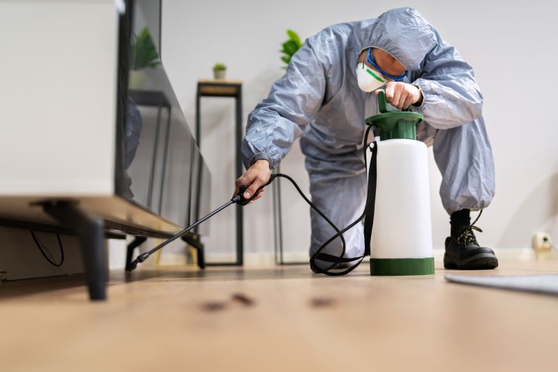 Pest Inspection Service in Frisco, TX