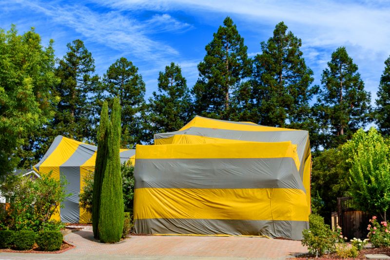 Termite Tenting in Asheville, NC