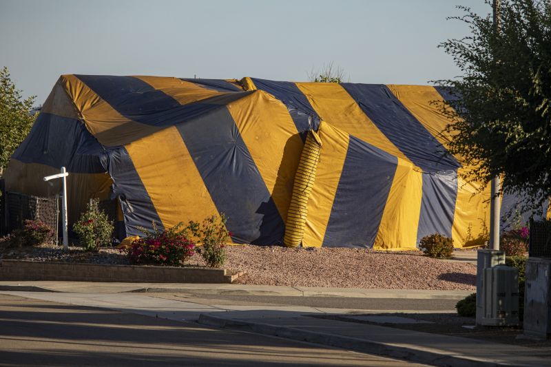 Termite Tenting in Ann Arbor, MI